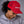 Load image into Gallery viewer, Spliff Original Trucker