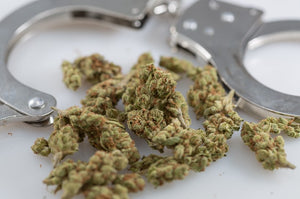 Illinois Lawmakers Approve Bill To Legalize Any Amount Of Marijuana And Expunge Past Records